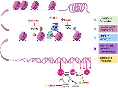 Epigenetic modifications and targeted therapy in pediatric acute myeloid leukemia